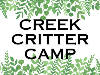 Decorate image for Creek Critter Camp
